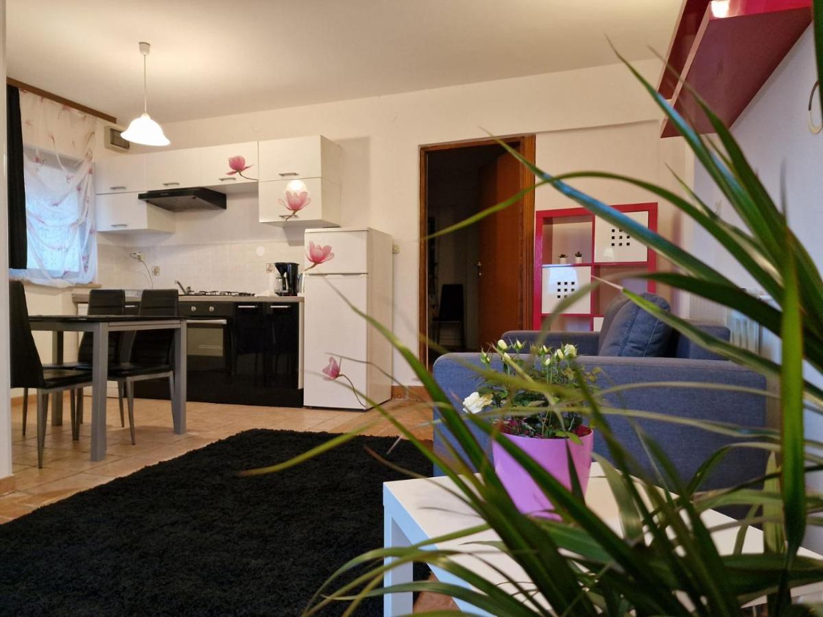 Apartman Sandro Motovun Exteriör bild